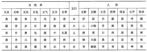 揚 五行|五行